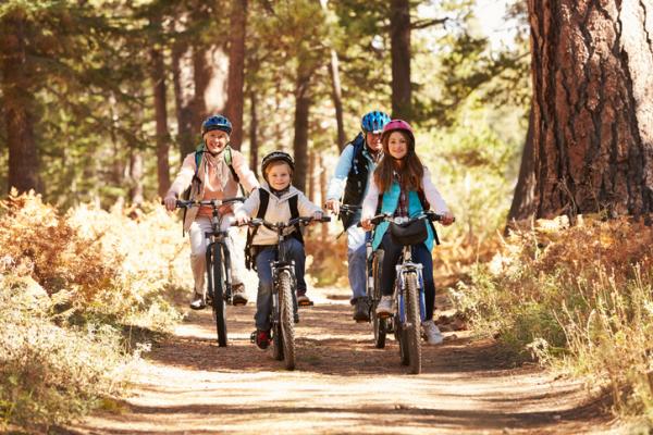 family cycling through woodland