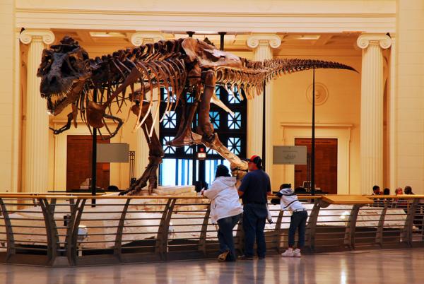 family looking at exhibit in museum