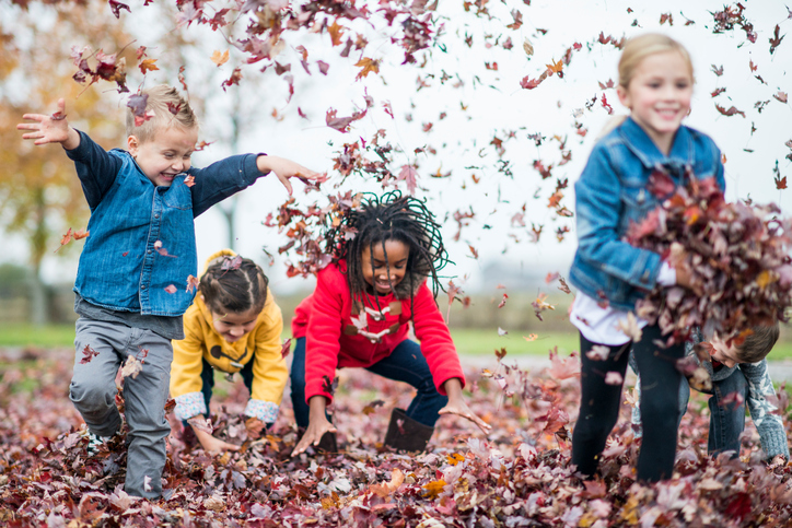 Throwing Leaves