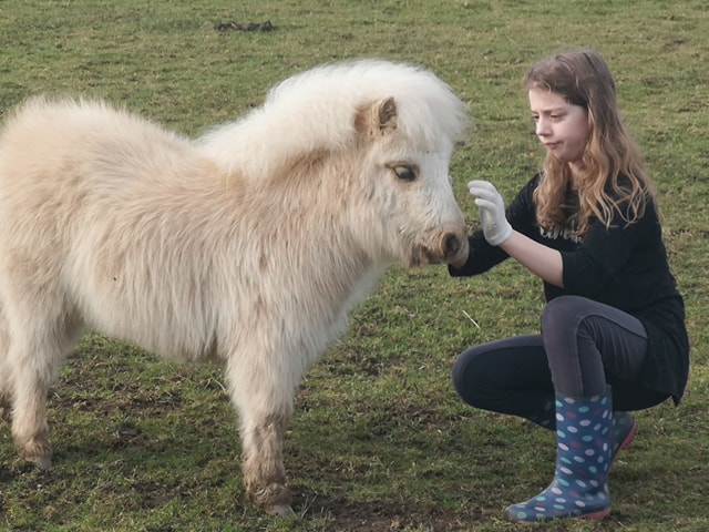 Looked after child tending to pony