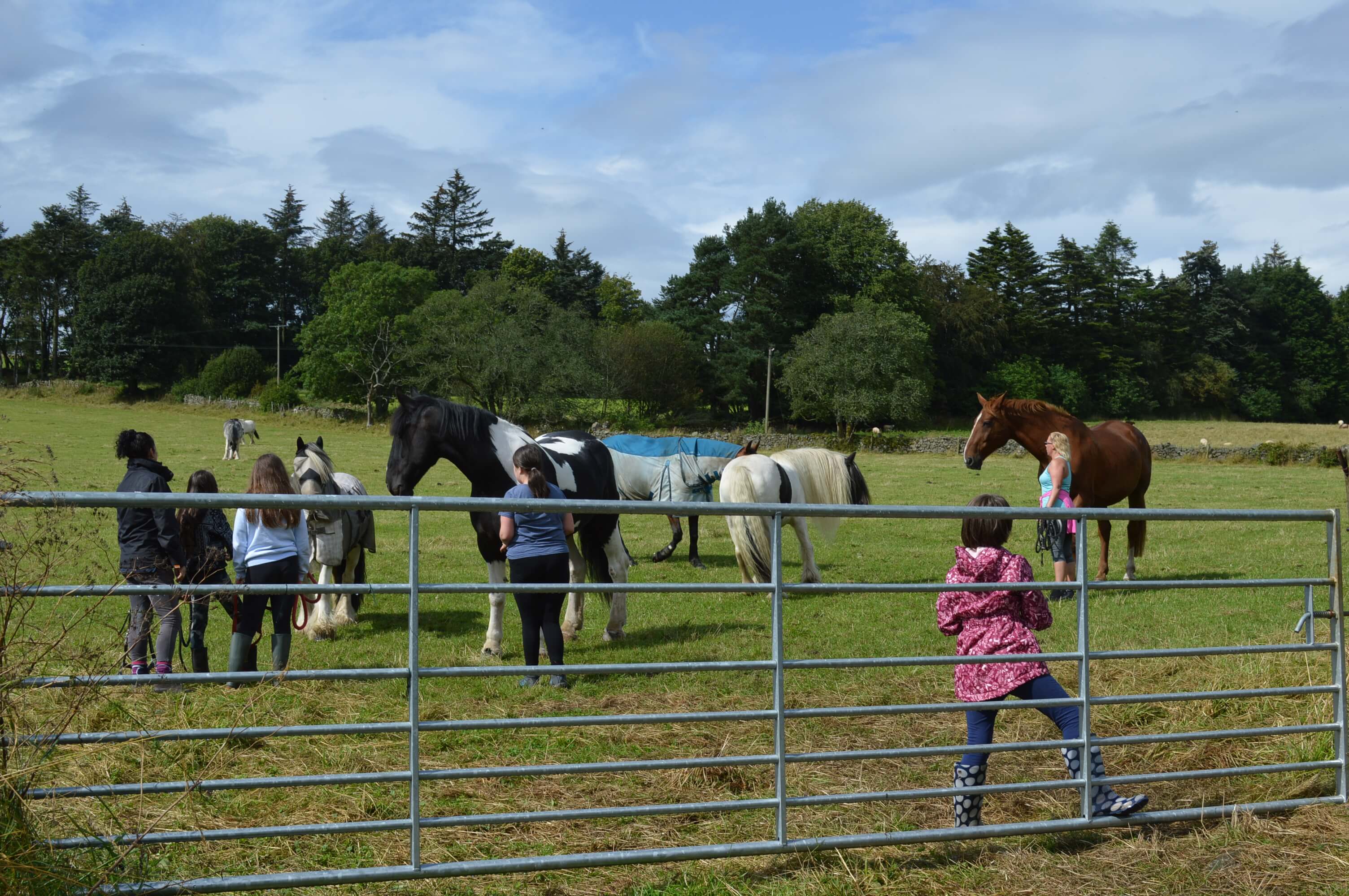 Children in horses field