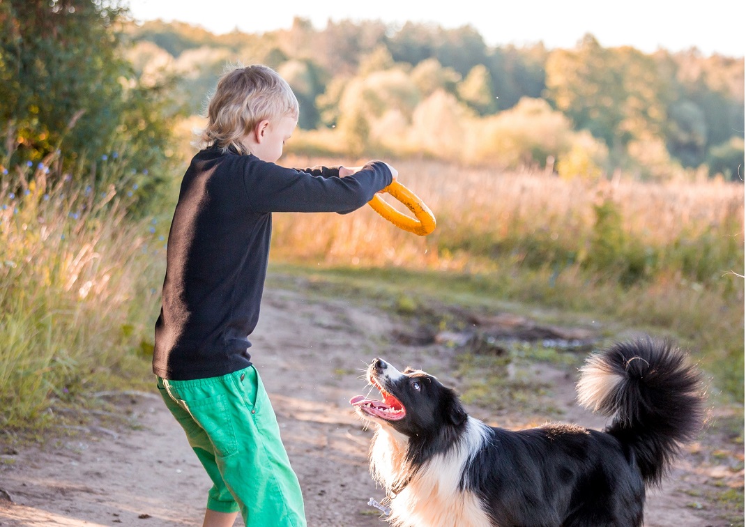 Boy playing with the dog at the forest path.