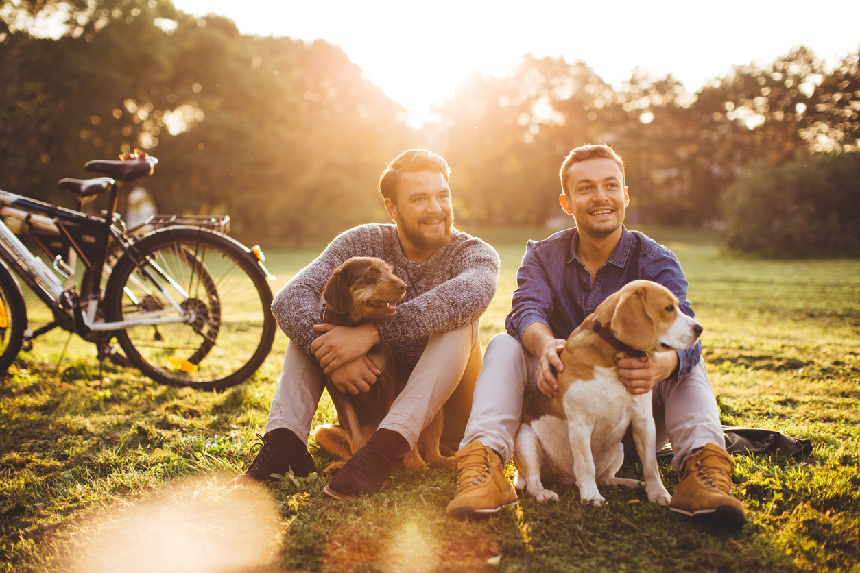 Young male foster carer couple with dogs and bikes