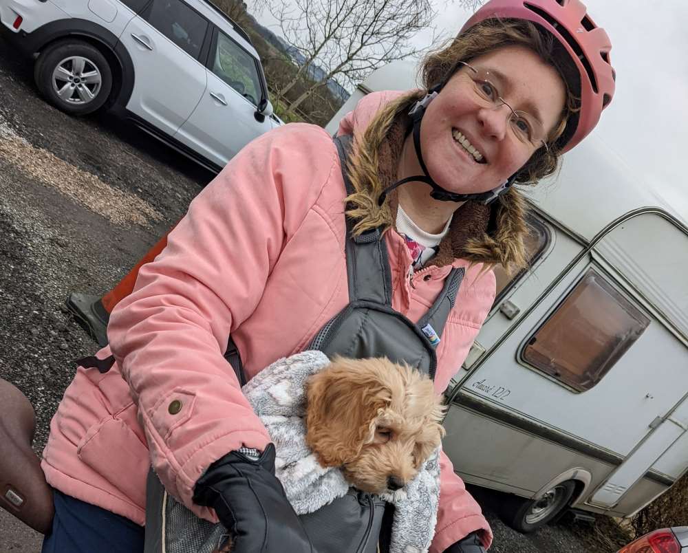 Nicola, a foster carer, and her cockerpoo